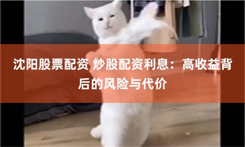 沈阳股票配资 炒股配资利息：高收益背后的风险与代价